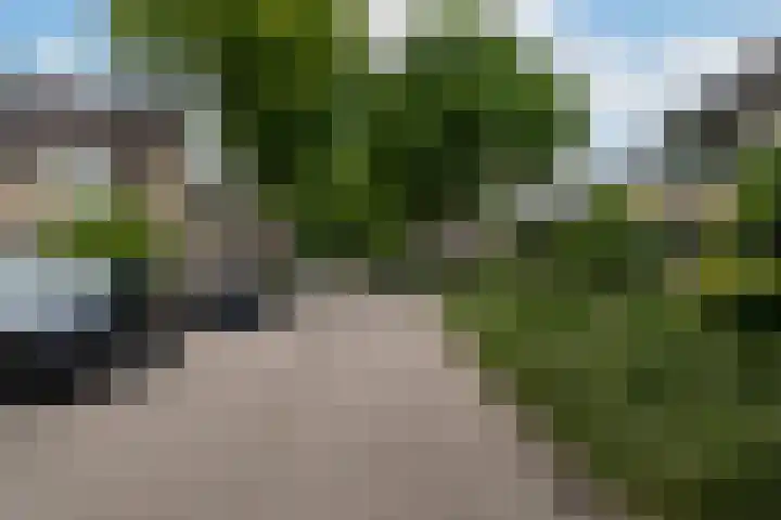 Van Leeuwenhoeklaan 27 Oosterhout thumbnail 6