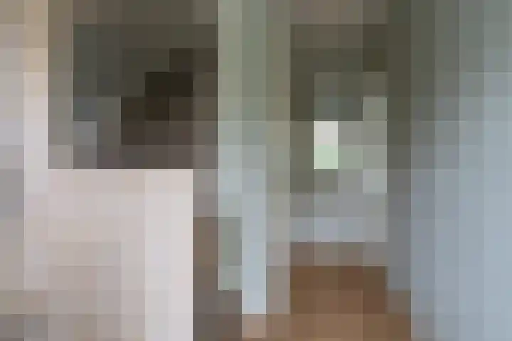 Van Leeuwenhoeklaan 27 Oosterhout thumbnail 7