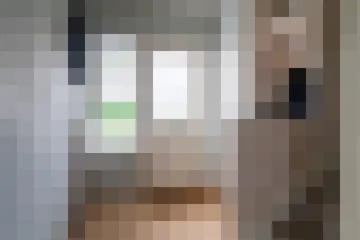 Van Leeuwenhoeklaan 27 Oosterhout thumbnail 9