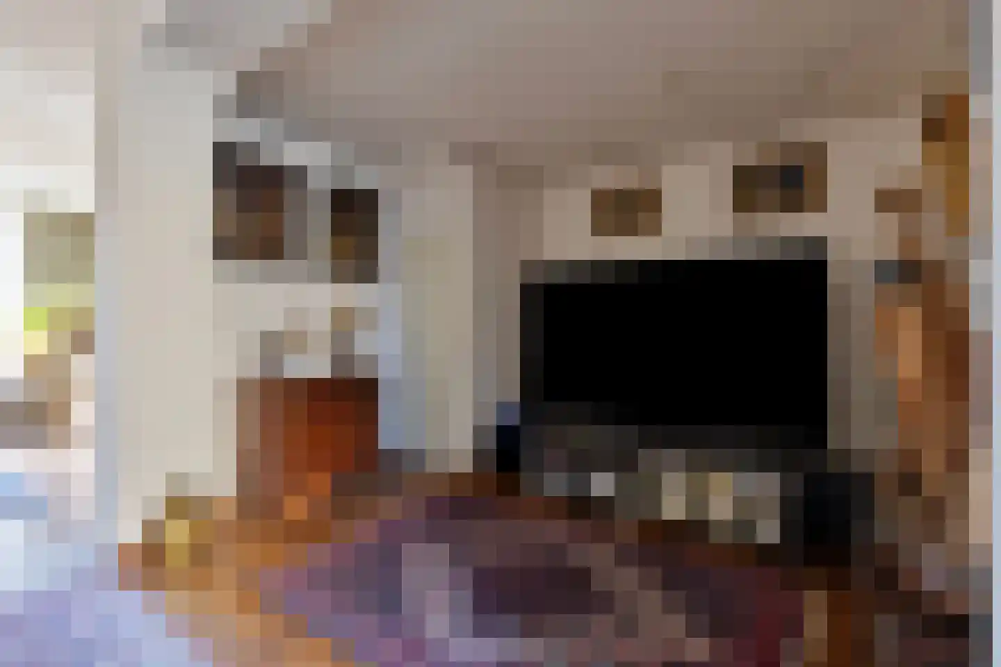 Van Leeuwenhoeklaan 3 Oosterhout thumbnail 10