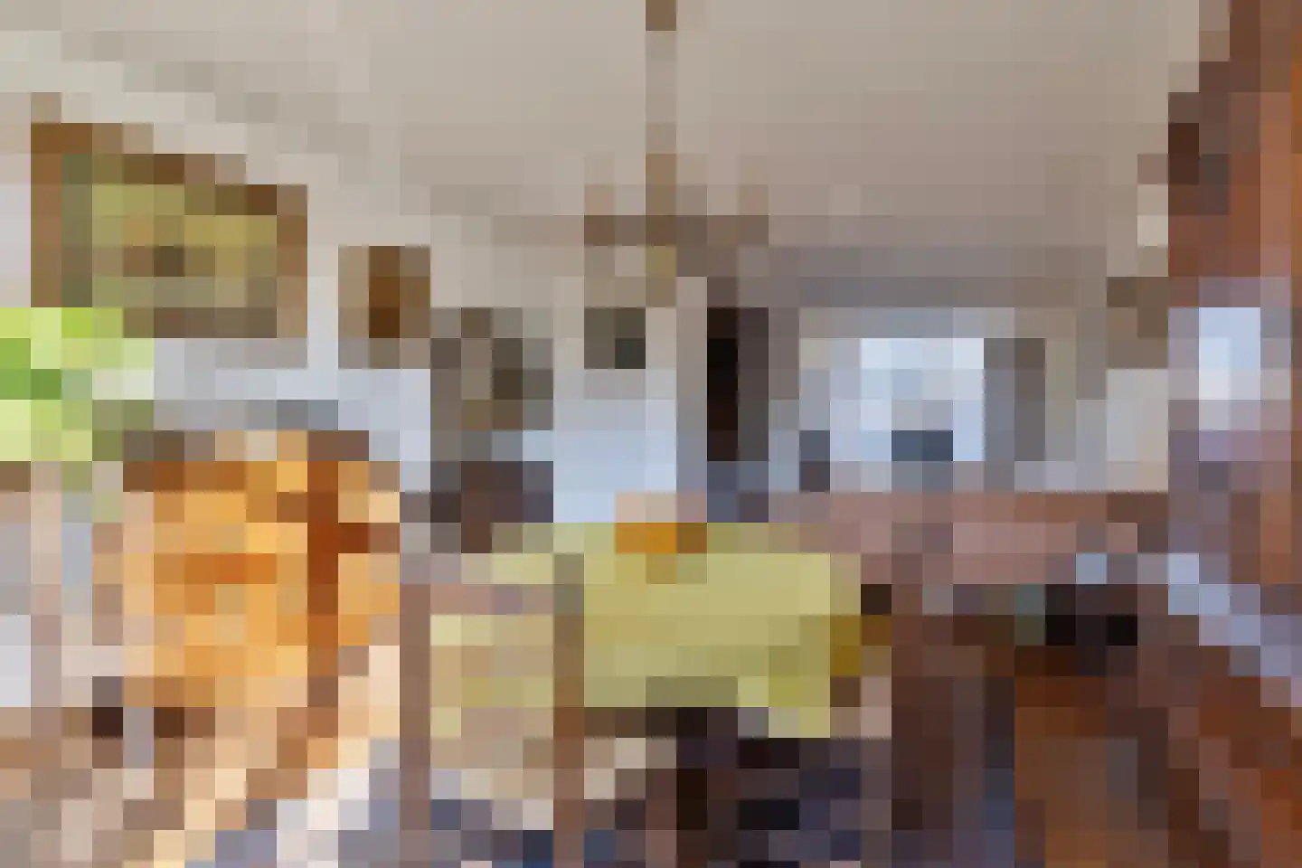 Van Leeuwenhoeklaan 3 Oosterhout thumbnail 12