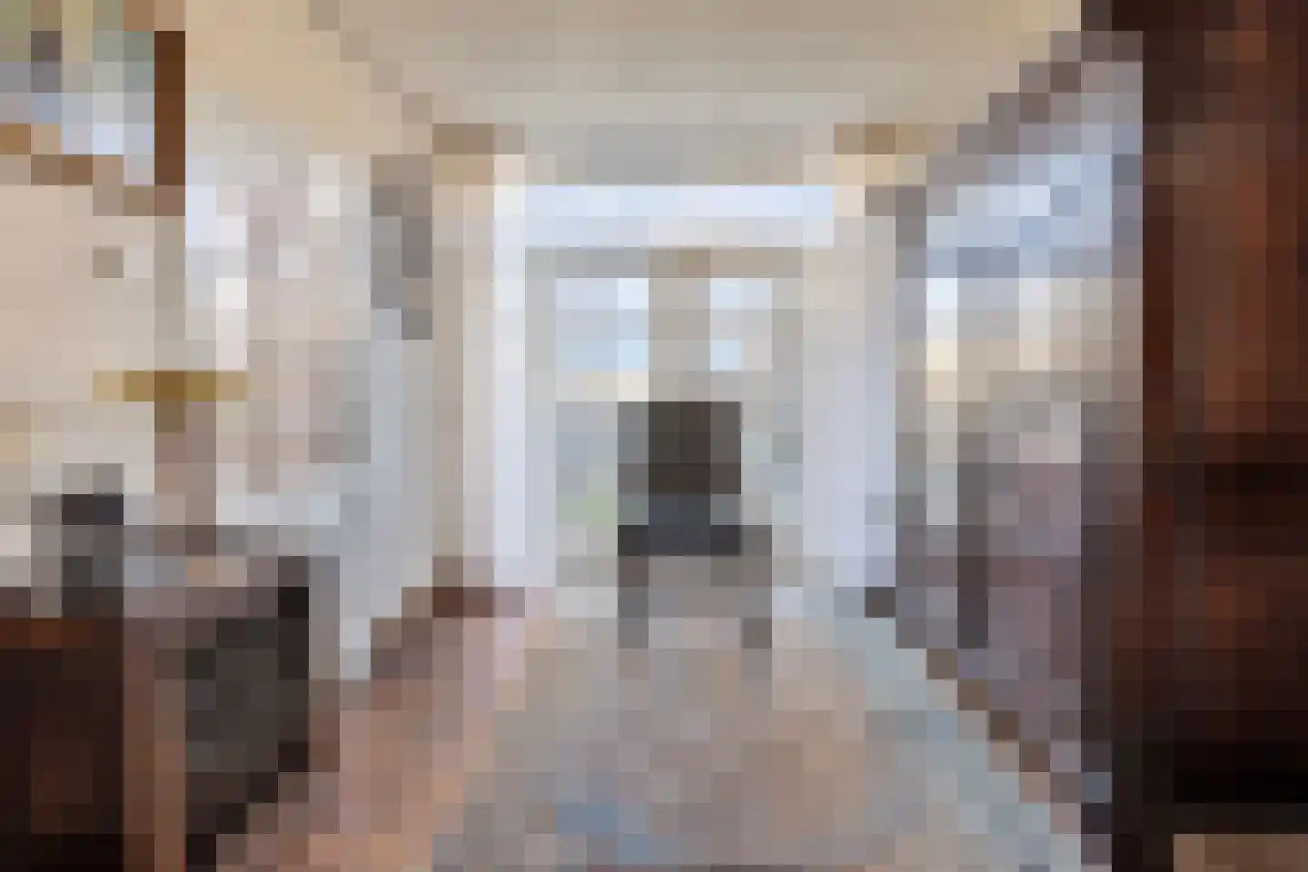 Van Leeuwenhoeklaan 3 Oosterhout thumbnail 13