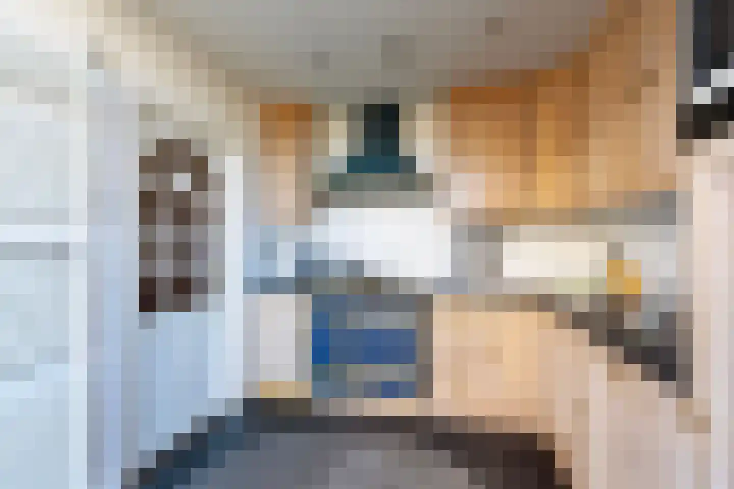 Van Leeuwenhoeklaan 3 Oosterhout thumbnail 15