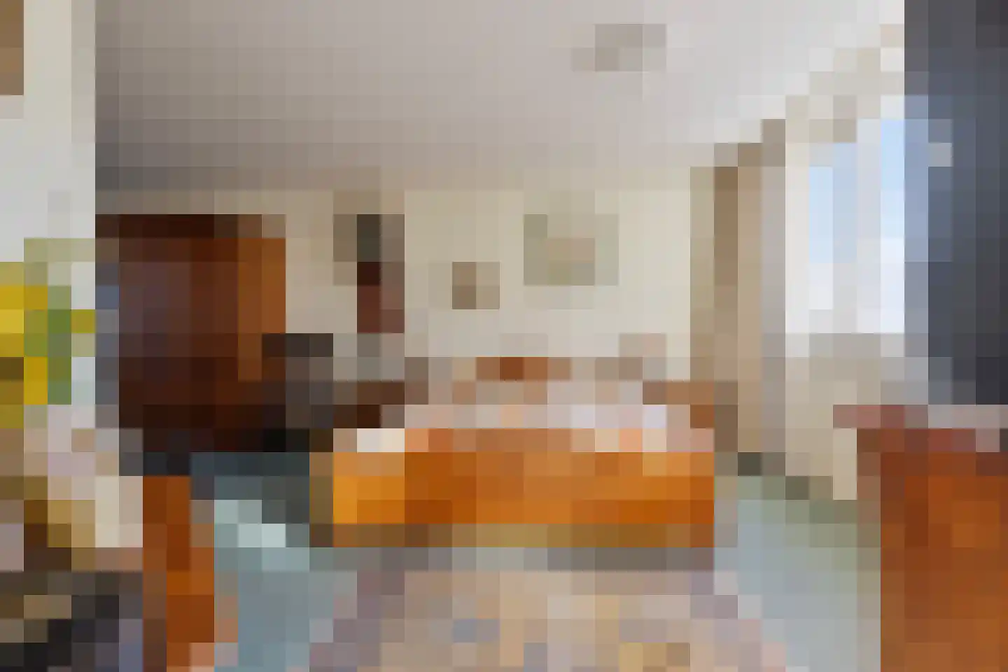 Van Leeuwenhoeklaan 3 Oosterhout thumbnail 19