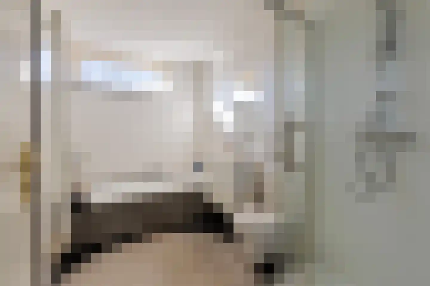 Van Leeuwenhoeklaan 3 Oosterhout thumbnail 21
