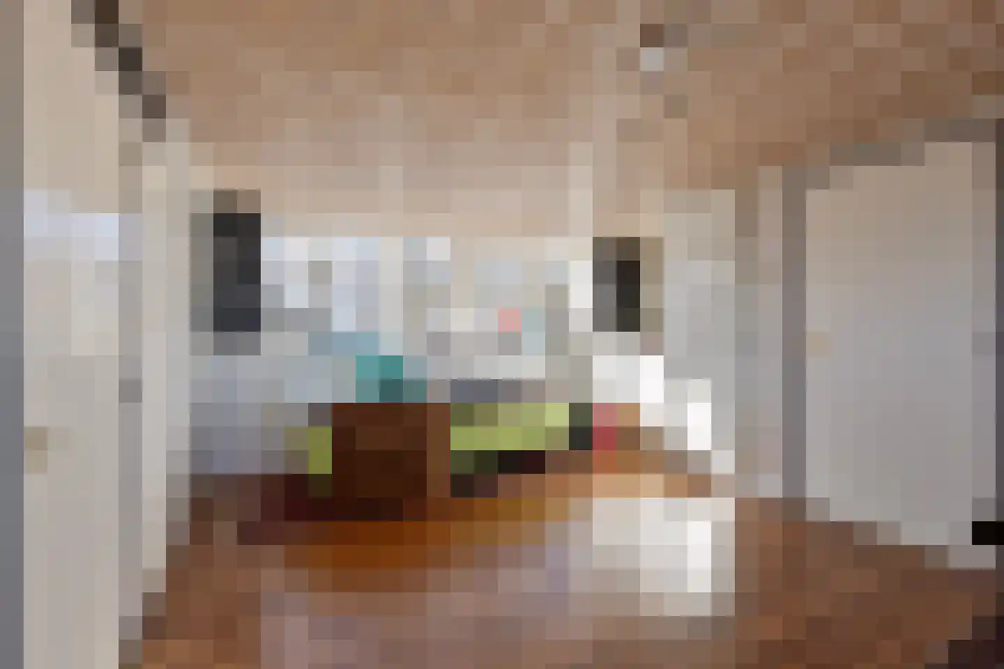 Van Leeuwenhoeklaan 3 Oosterhout thumbnail 24