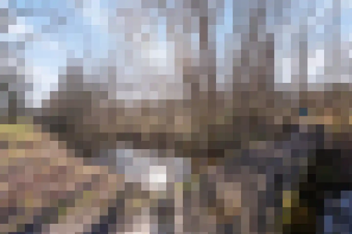 Van Leeuwenhoeklaan 3 Oosterhout thumbnail 32