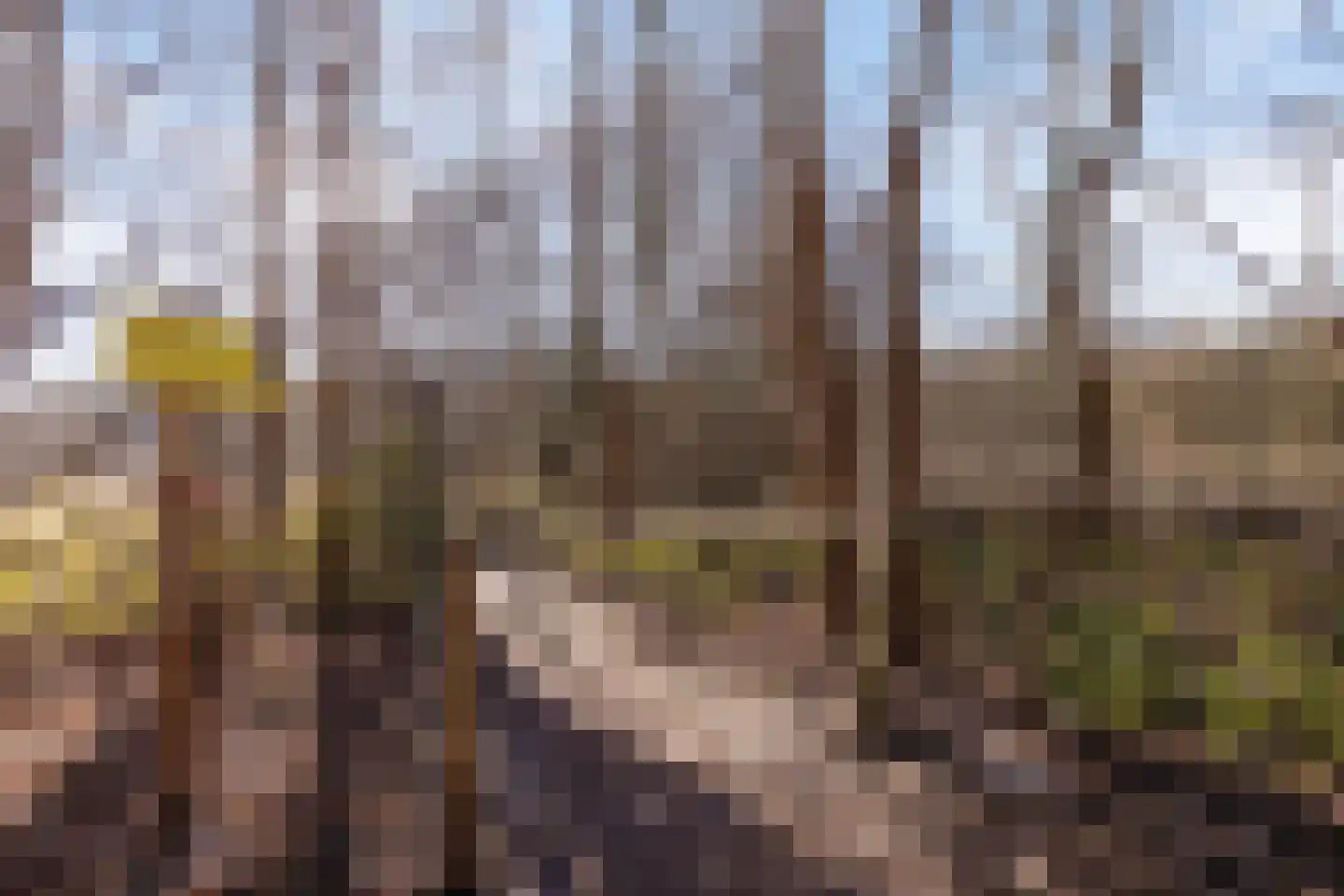 Van Leeuwenhoeklaan 3 Oosterhout thumbnail 33
