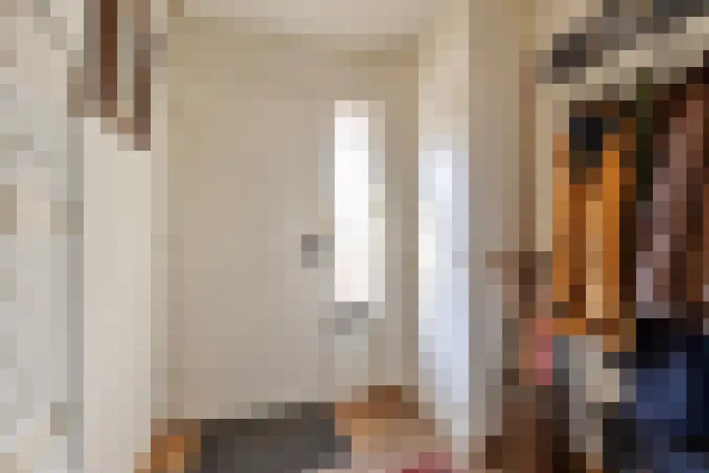 Van Leeuwenhoeklaan 3 Oosterhout thumbnail 5