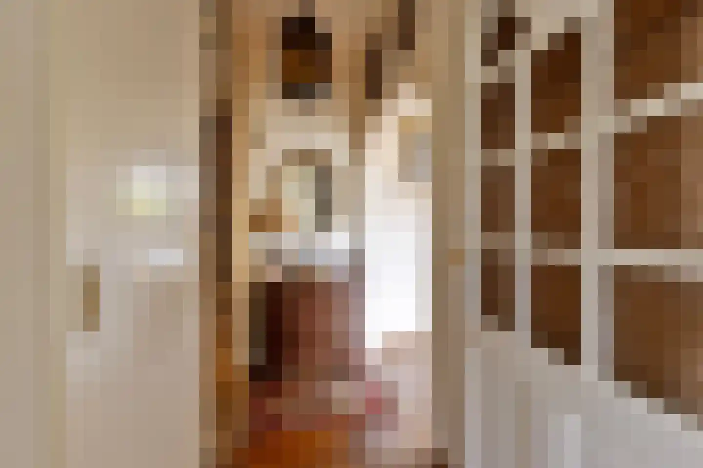 Van Leeuwenhoeklaan 3 Oosterhout thumbnail 6