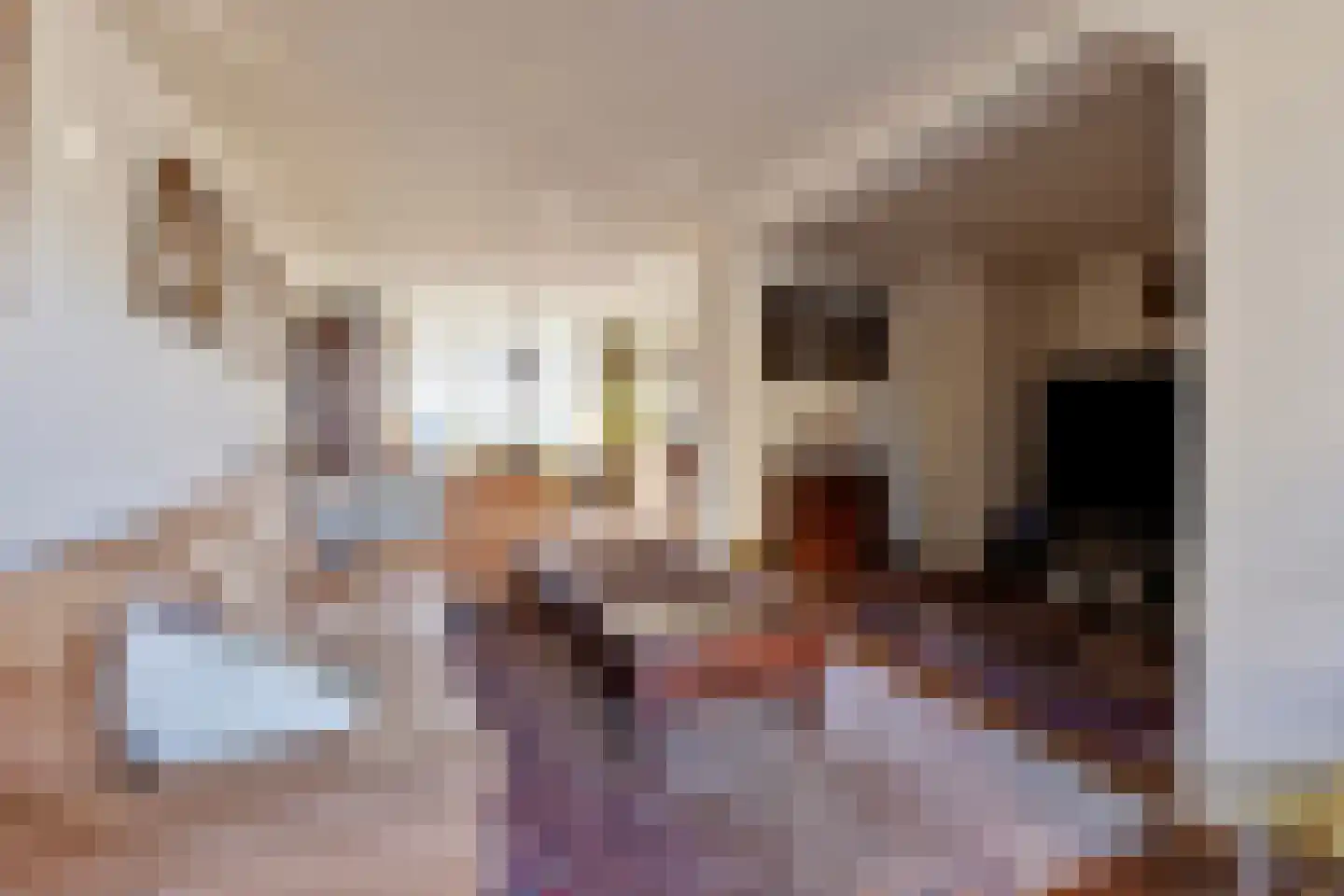 Van Leeuwenhoeklaan 3 Oosterhout thumbnail 7