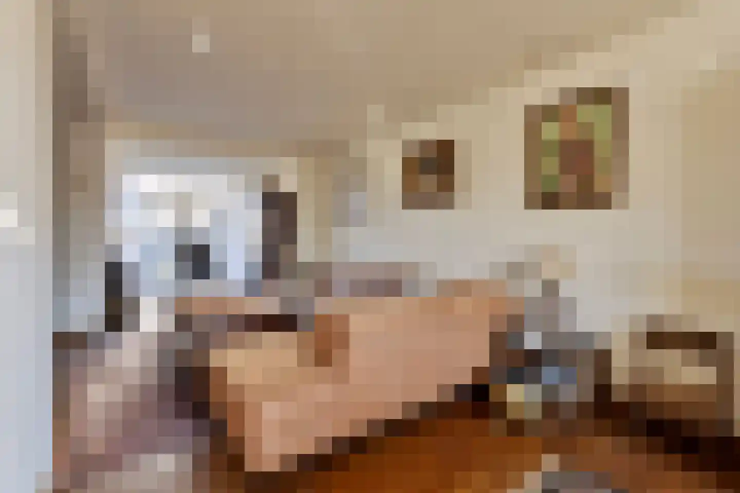 Van Leeuwenhoeklaan 3 Oosterhout thumbnail 8
