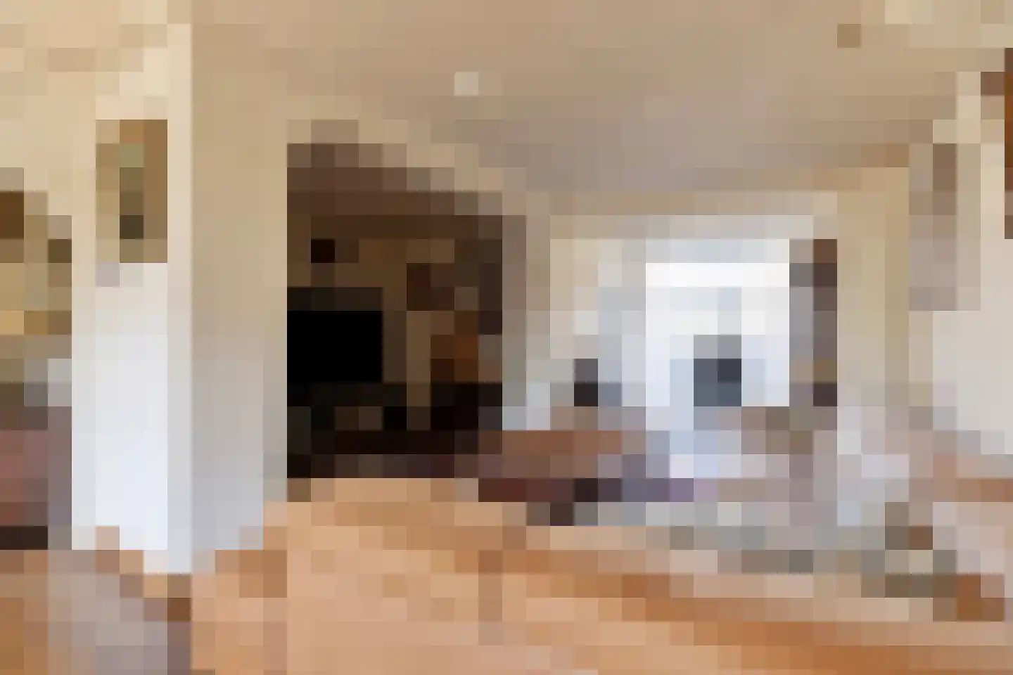 Van Leeuwenhoeklaan 3 Oosterhout thumbnail 9
