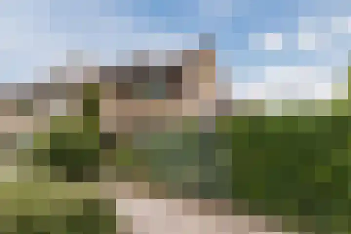 Van Leeuwenhoeklaan 31 Oosterhout thumbnail 11