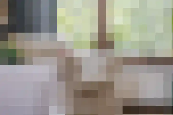 Van Leeuwenhoeklaan 31 Oosterhout thumbnail 16