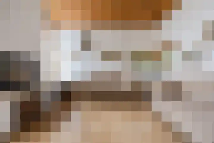 Van Leeuwenhoeklaan 31 Oosterhout thumbnail 17