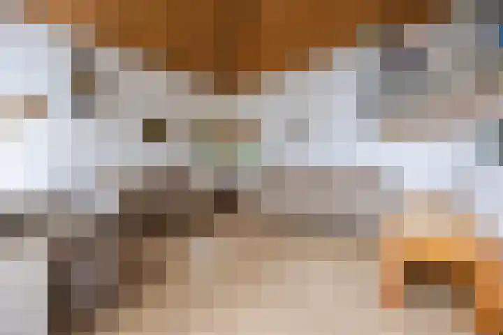 Van Leeuwenhoeklaan 31 Oosterhout thumbnail 18