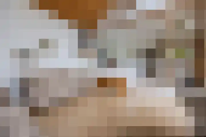 Van Leeuwenhoeklaan 31 Oosterhout thumbnail 19