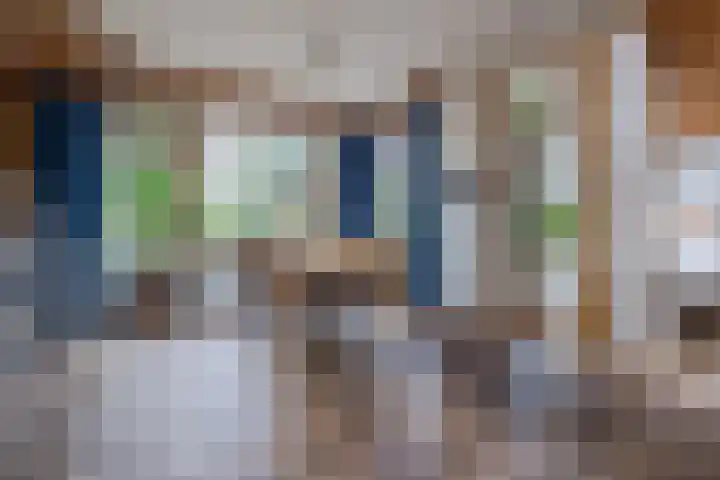 Van Leeuwenhoeklaan 31 Oosterhout thumbnail 24