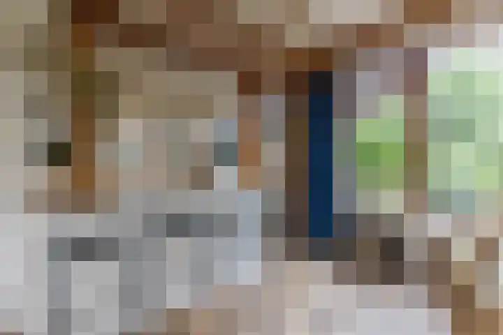 Van Leeuwenhoeklaan 31 Oosterhout thumbnail 26