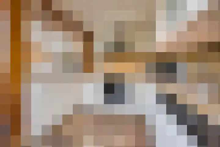 Van Leeuwenhoeklaan 31 Oosterhout thumbnail 28