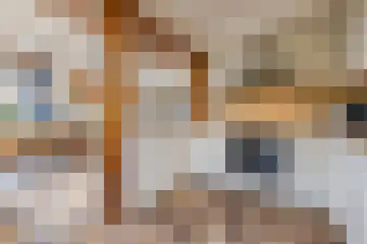 Van Leeuwenhoeklaan 31 Oosterhout thumbnail 29