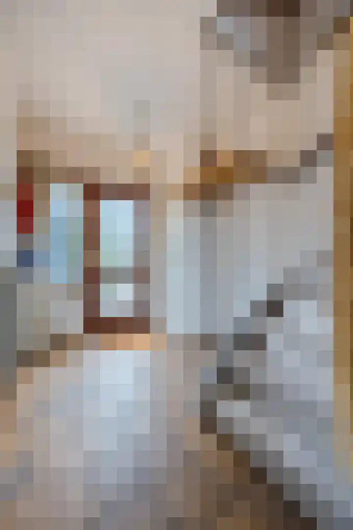 Van Leeuwenhoeklaan 31 Oosterhout thumbnail 33