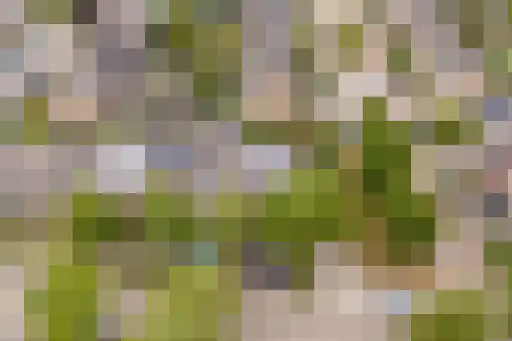 Van Leeuwenhoeklaan 31 Oosterhout thumbnail 4