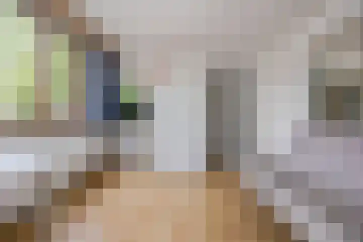 Van Leeuwenhoeklaan 31 Oosterhout thumbnail 41