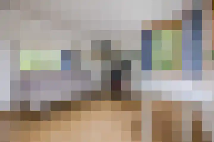 Van Leeuwenhoeklaan 31 Oosterhout thumbnail 42