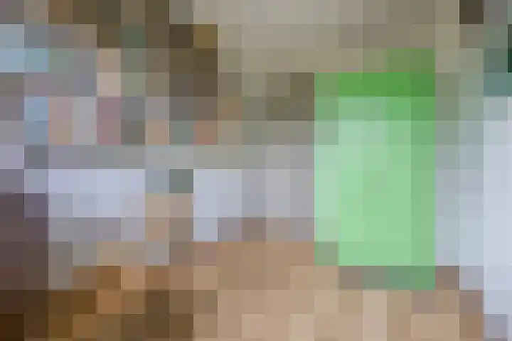 Van Leeuwenhoeklaan 31 Oosterhout thumbnail 44