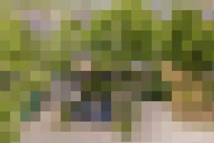 Van Leeuwenhoeklaan 31 Oosterhout thumbnail 6