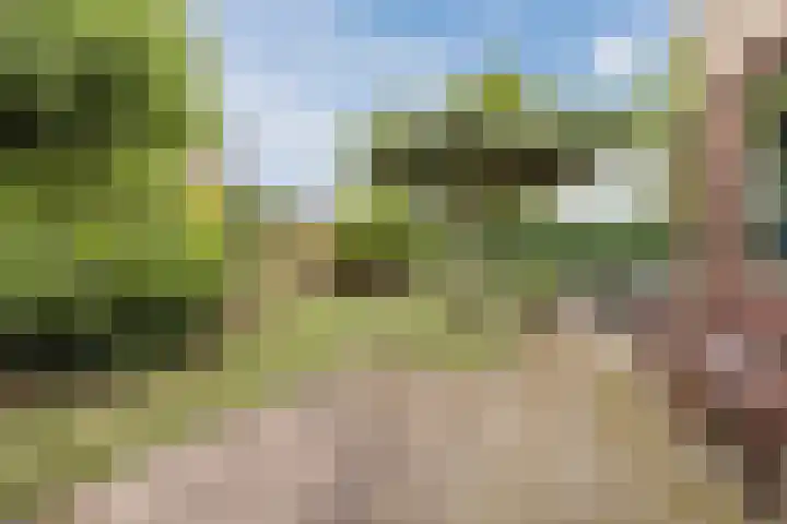 Van Leeuwenhoeklaan 31 Oosterhout thumbnail 60