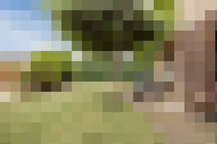 Van Leeuwenhoeklaan 31 Oosterhout thumbnail 61