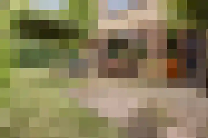Van Leeuwenhoeklaan 31 Oosterhout thumbnail 62