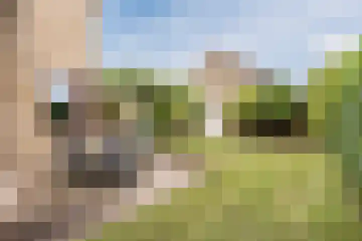 Van Leeuwenhoeklaan 31 Oosterhout thumbnail 65