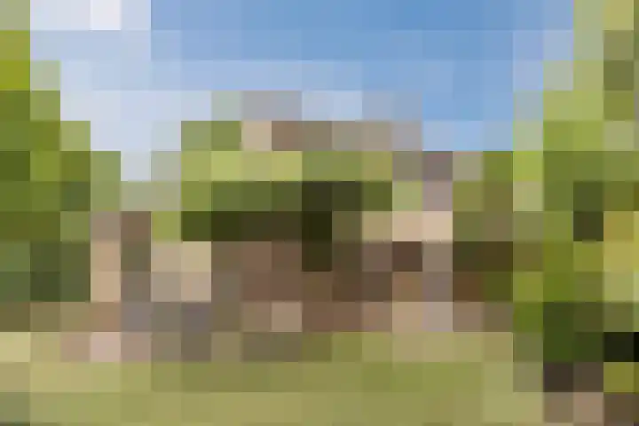 Van Leeuwenhoeklaan 31 Oosterhout thumbnail 66