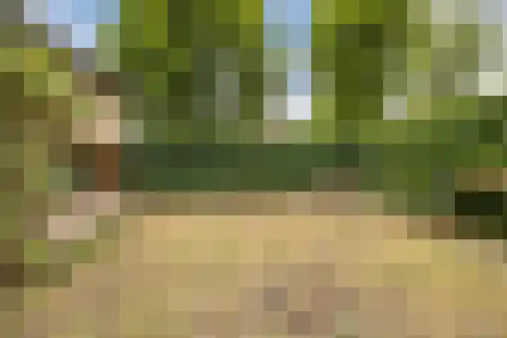 Van Leeuwenhoeklaan 31 Oosterhout thumbnail 68