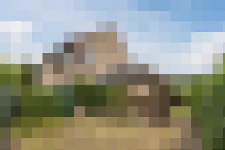 Van Leeuwenhoeklaan 31 Oosterhout thumbnail 69