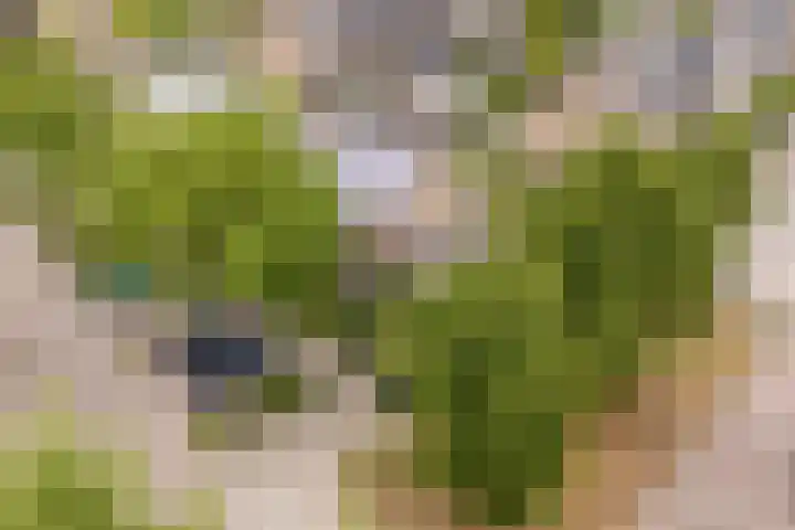 Van Leeuwenhoeklaan 31 Oosterhout thumbnail 7