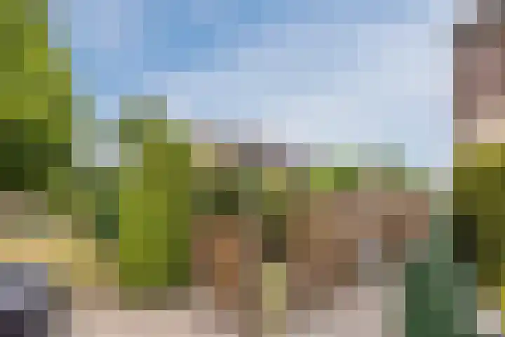 Van Leeuwenhoeklaan 31 Oosterhout thumbnail 72