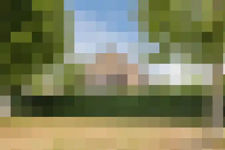 Van Leeuwenhoeklaan 31 Oosterhout thumbnail 74