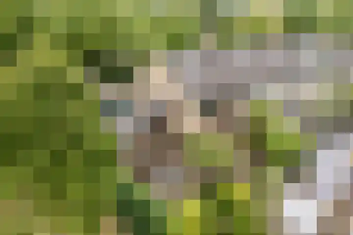 Van Leeuwenhoeklaan 31 Oosterhout thumbnail 76