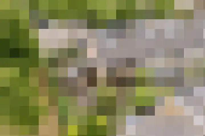 Van Leeuwenhoeklaan 31 Oosterhout thumbnail 77