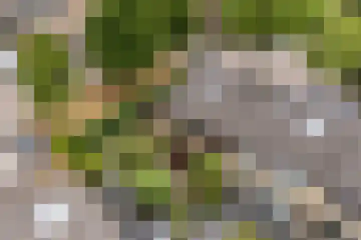 Van Leeuwenhoeklaan 31 Oosterhout thumbnail 78