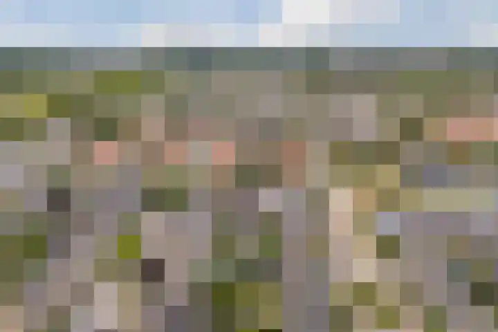 Van Leeuwenhoeklaan 31 Oosterhout thumbnail 86