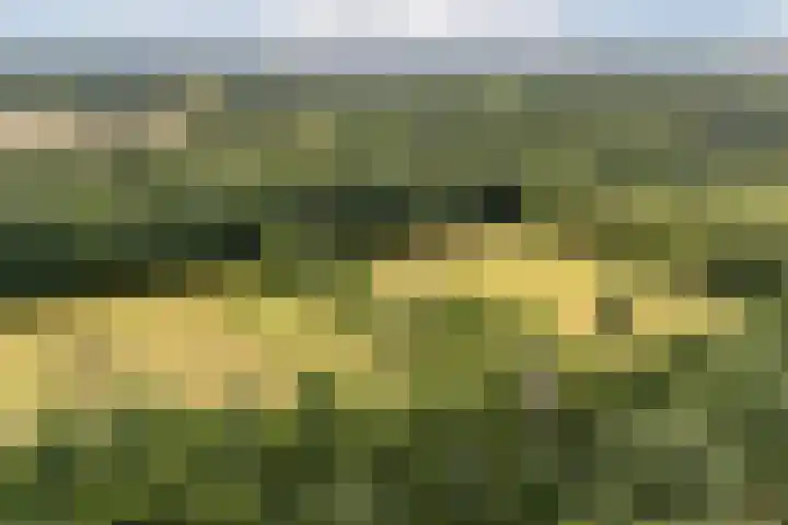 Van Leeuwenhoeklaan 31 Oosterhout thumbnail 87