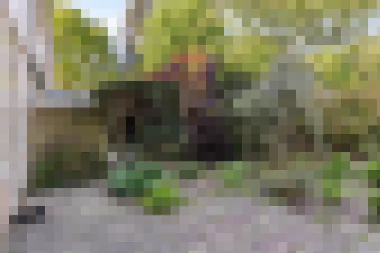 van Leeuwenhoeklaan 38 Doetinchem thumbnail 18