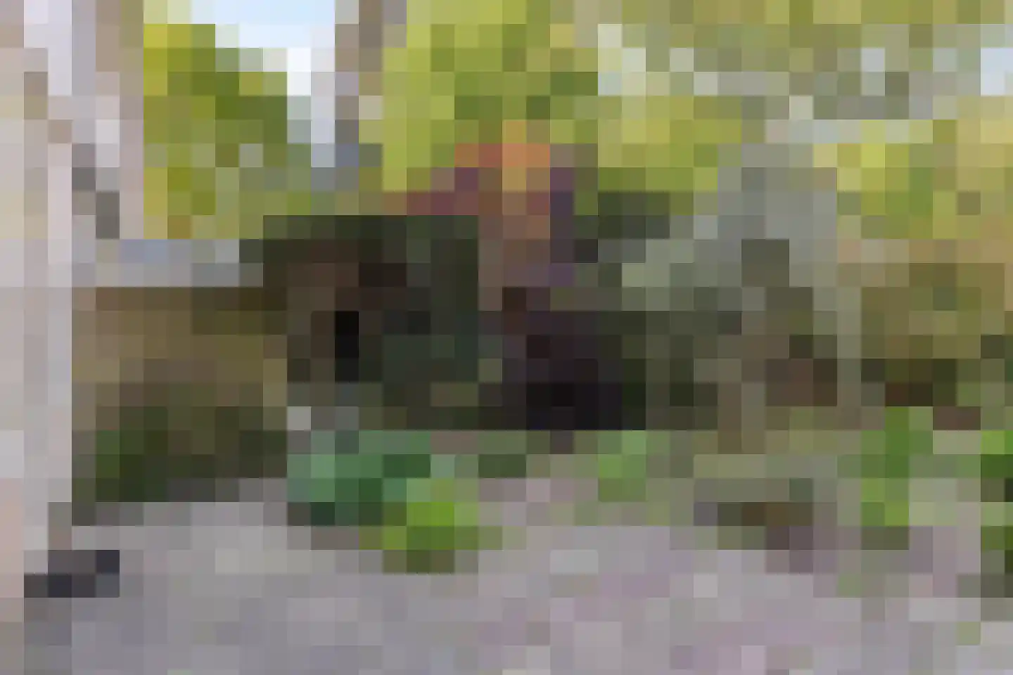 van Leeuwenhoeklaan 38 Doetinchem thumbnail 18