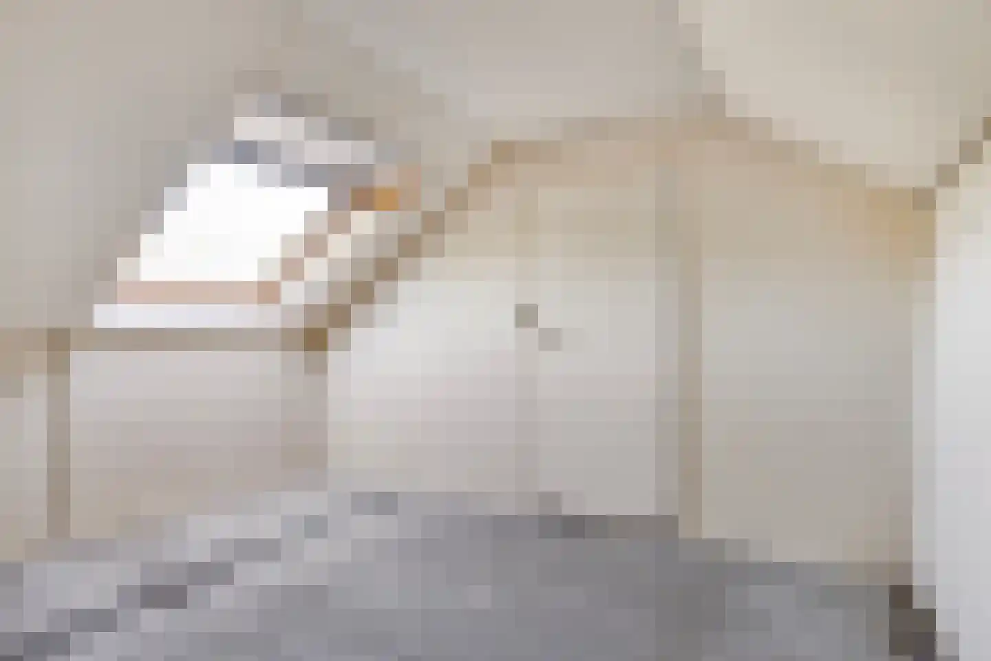 van Leeuwenhoeklaan 38 Doetinchem thumbnail 35